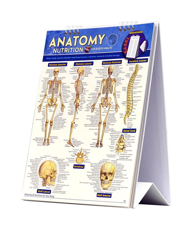 ANATOMY AND NUTRITION FOR